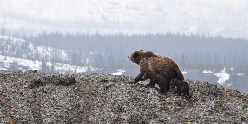工业除尘系统安装最佳实践：从机械解决方案到卓越性能