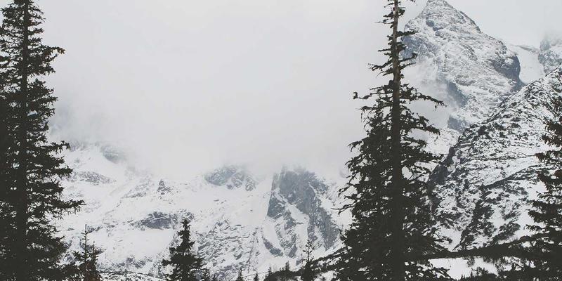 深度剖析:淄博众汇的财务状况与投资价值,机械制造领域的山东力量