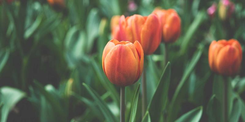 破局“卡脖子”：淄博众汇联袂高校，如何以“产学研”新模式撬动高端装备未来？